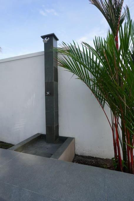 Villa Vespa Lovina מראה חיצוני תמונה